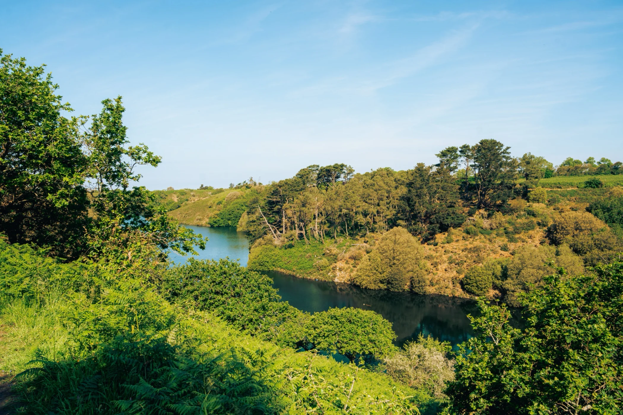 River winding through dense green trees and bushes under a clear blue sky.
