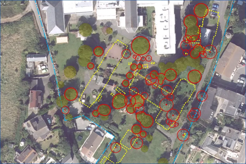 Aerial view of a neighborhood with houses and trees marked by red circles and yellow dashed lines.