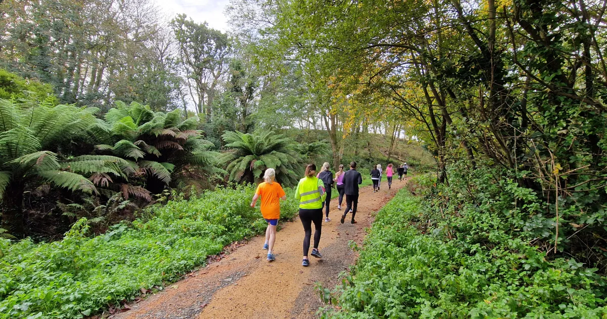 Group of people jogging on a forest trail surrounded by lush green trees and plants.