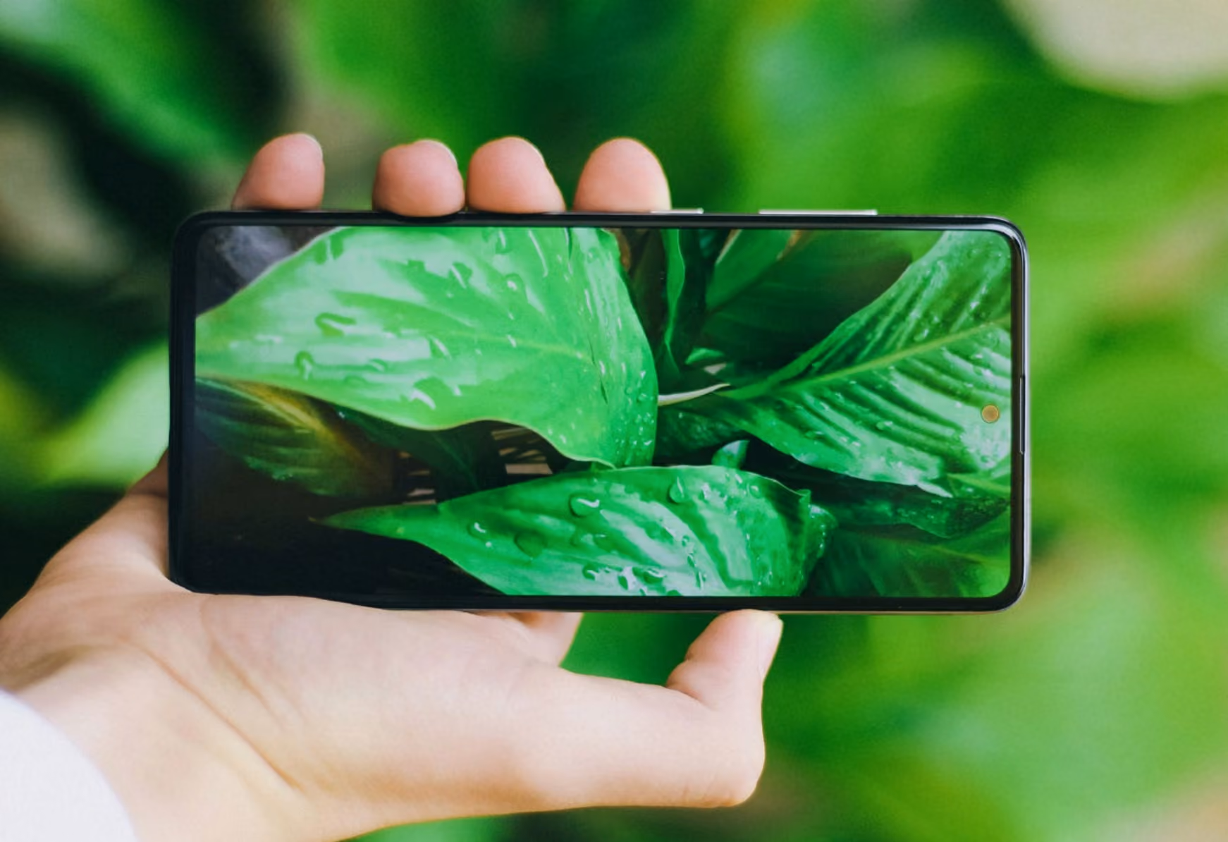 Mobile phone on green nature background.
