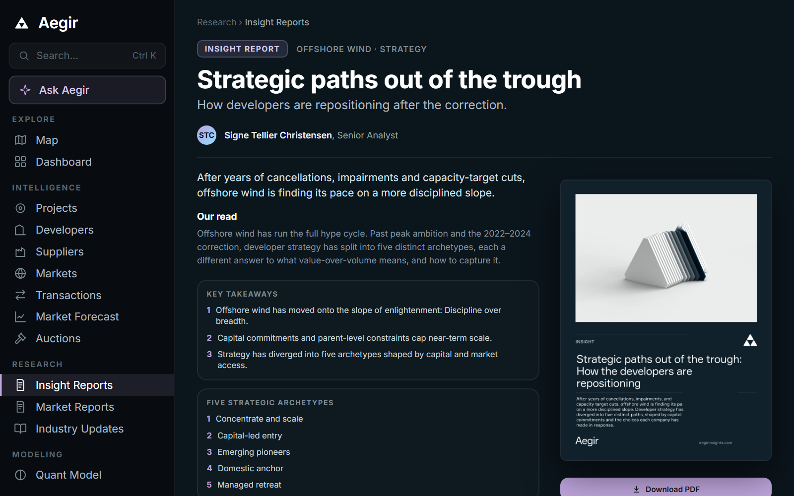 Aegir Intel insight report in the Aegir platform