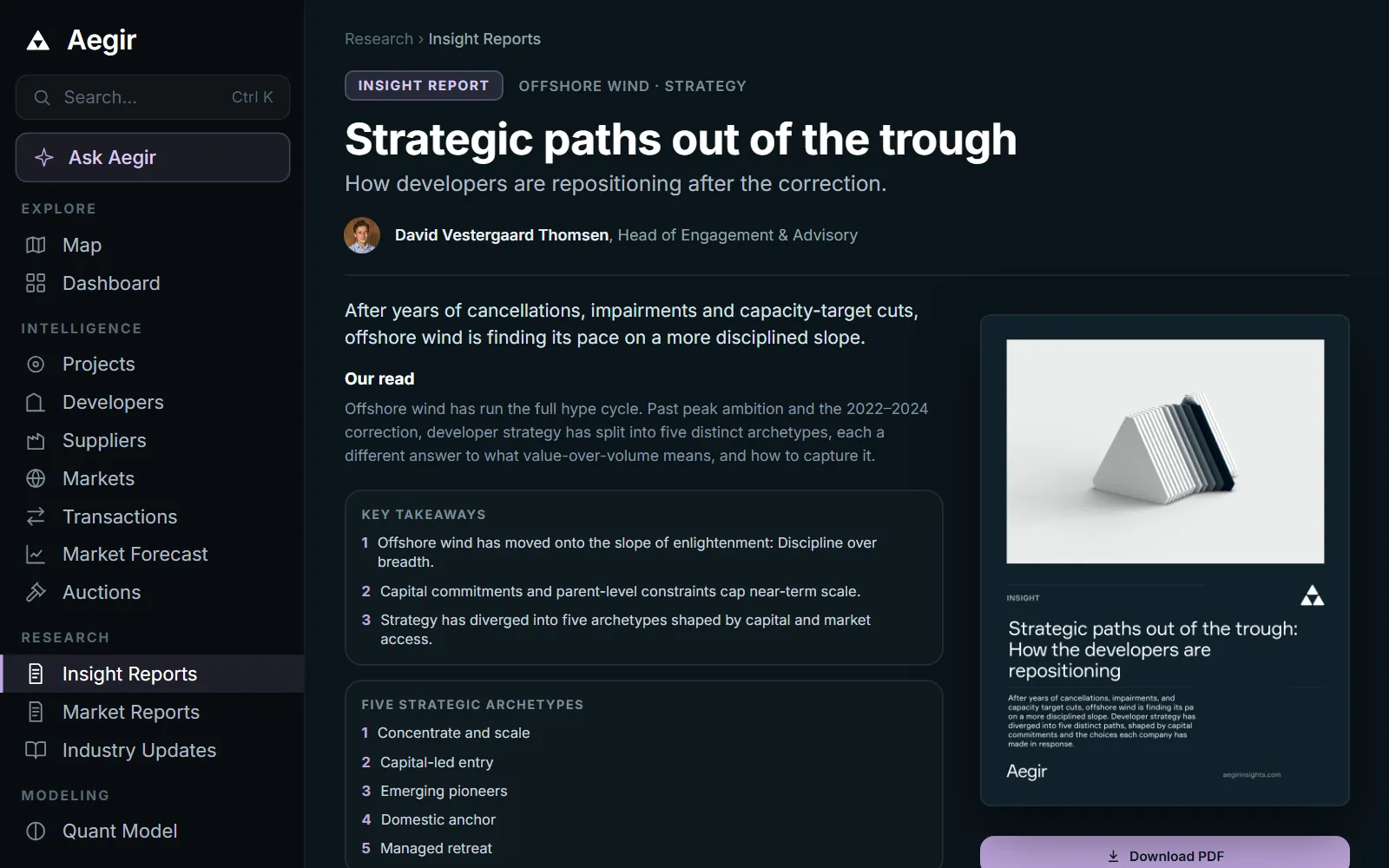 Aegir Intel insight report in the Aegir platform