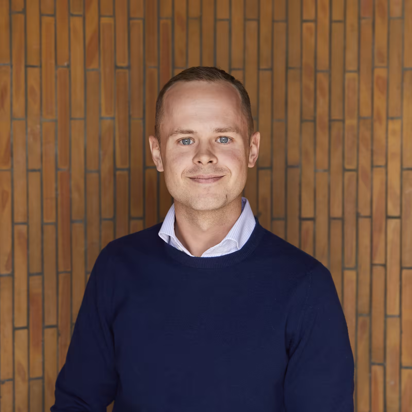 Aegir analyst portrait