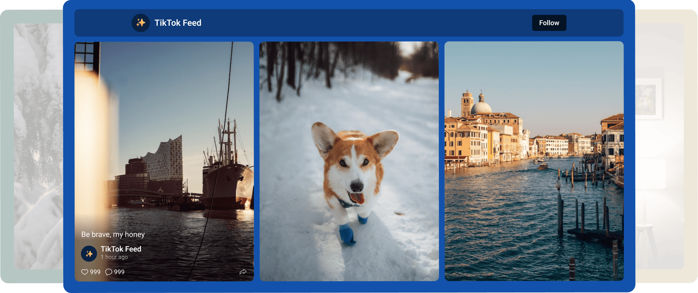 Widget de feed de TikTok seguro y confiable para WordPress