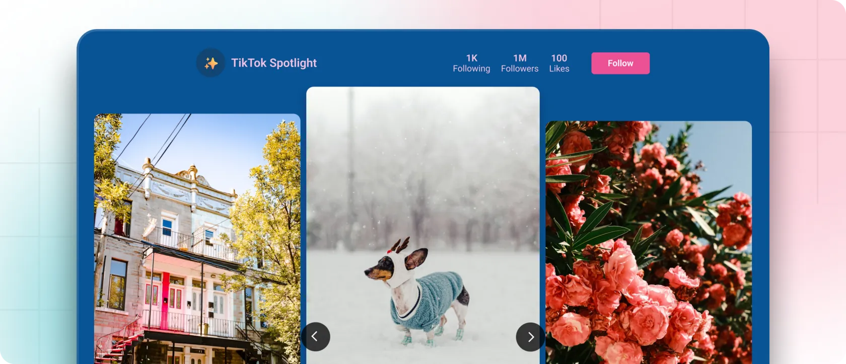 How to Embed a TikTok Feed on Your Website: The Expert Guide for 2025