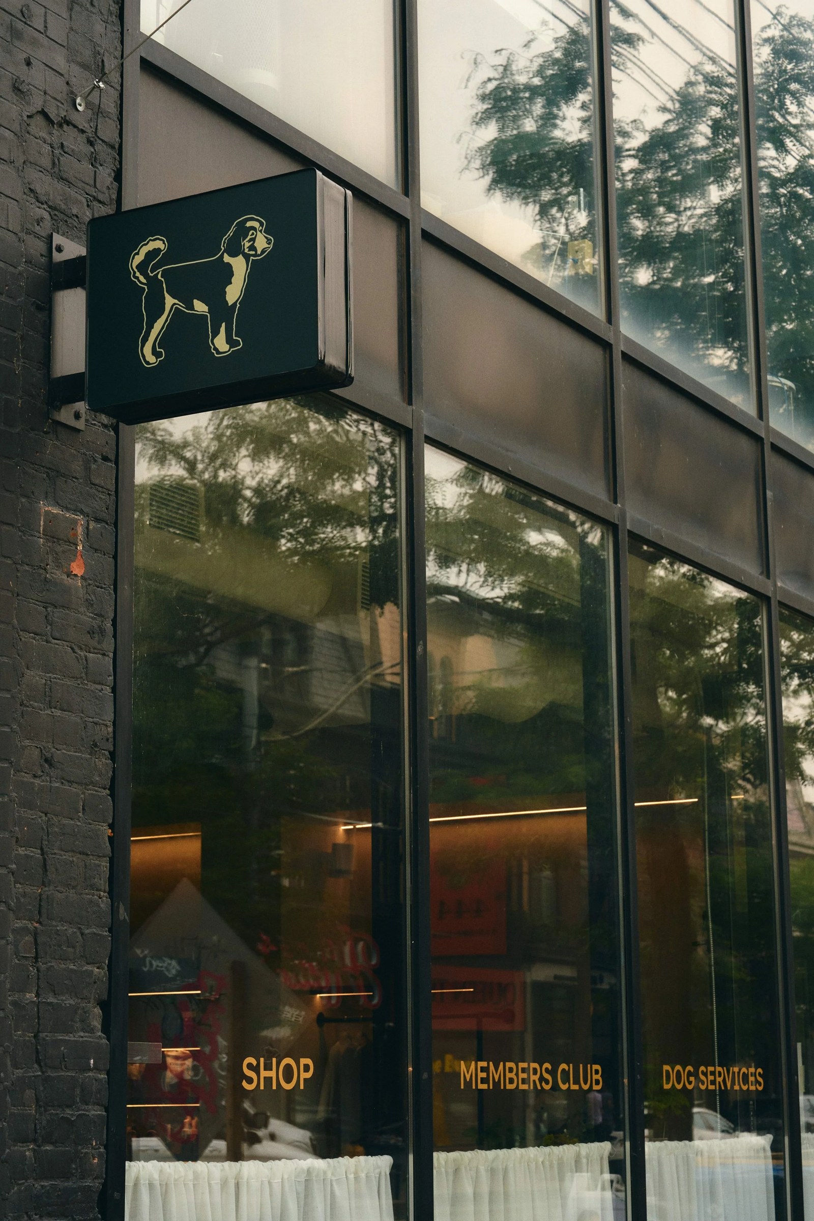 Hound House cafe interior photography with green tones and glass partitions