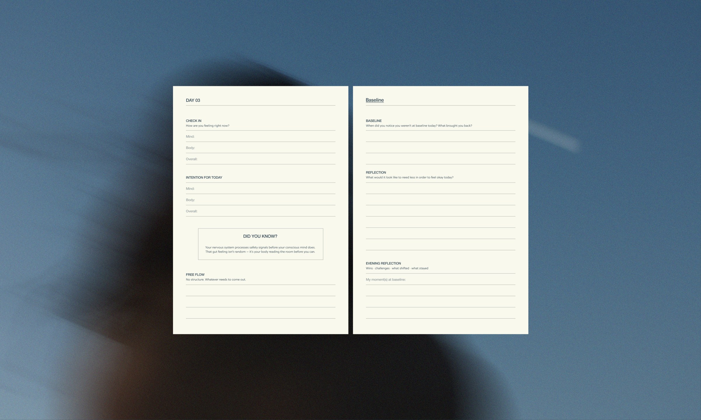 Baseline brand guidelines spread open on a dark surface