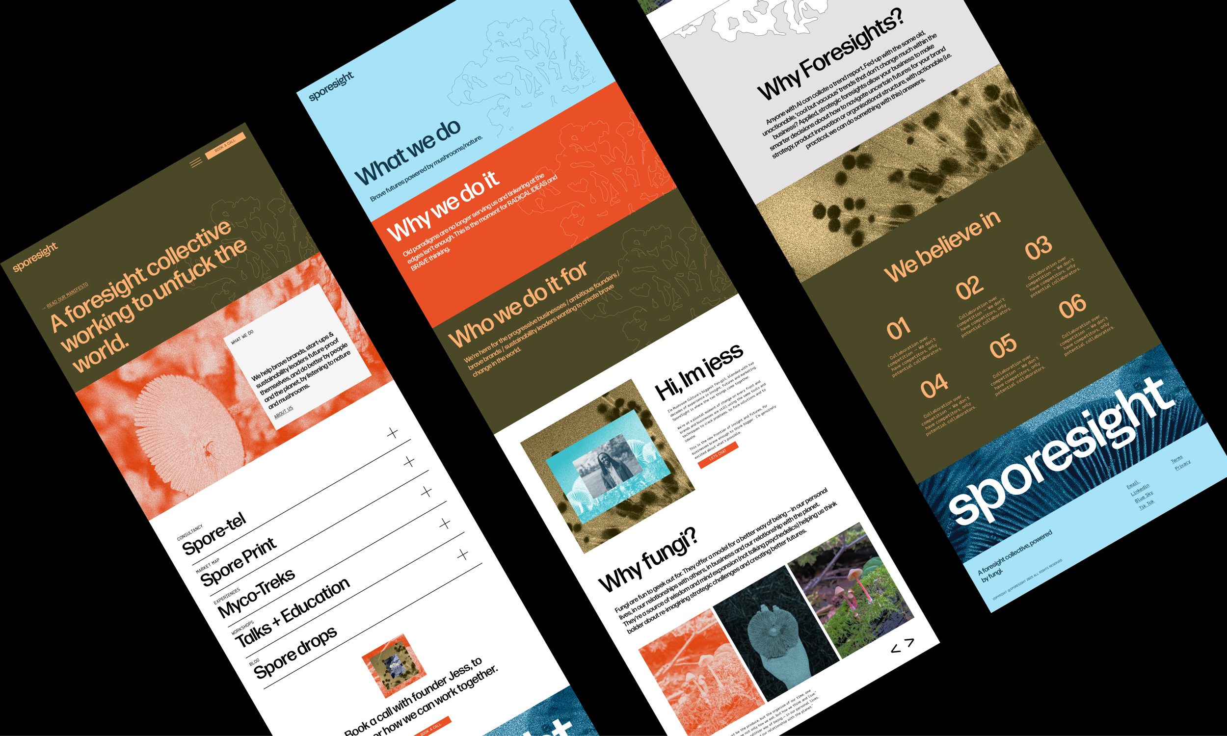 Sporesight website design screens