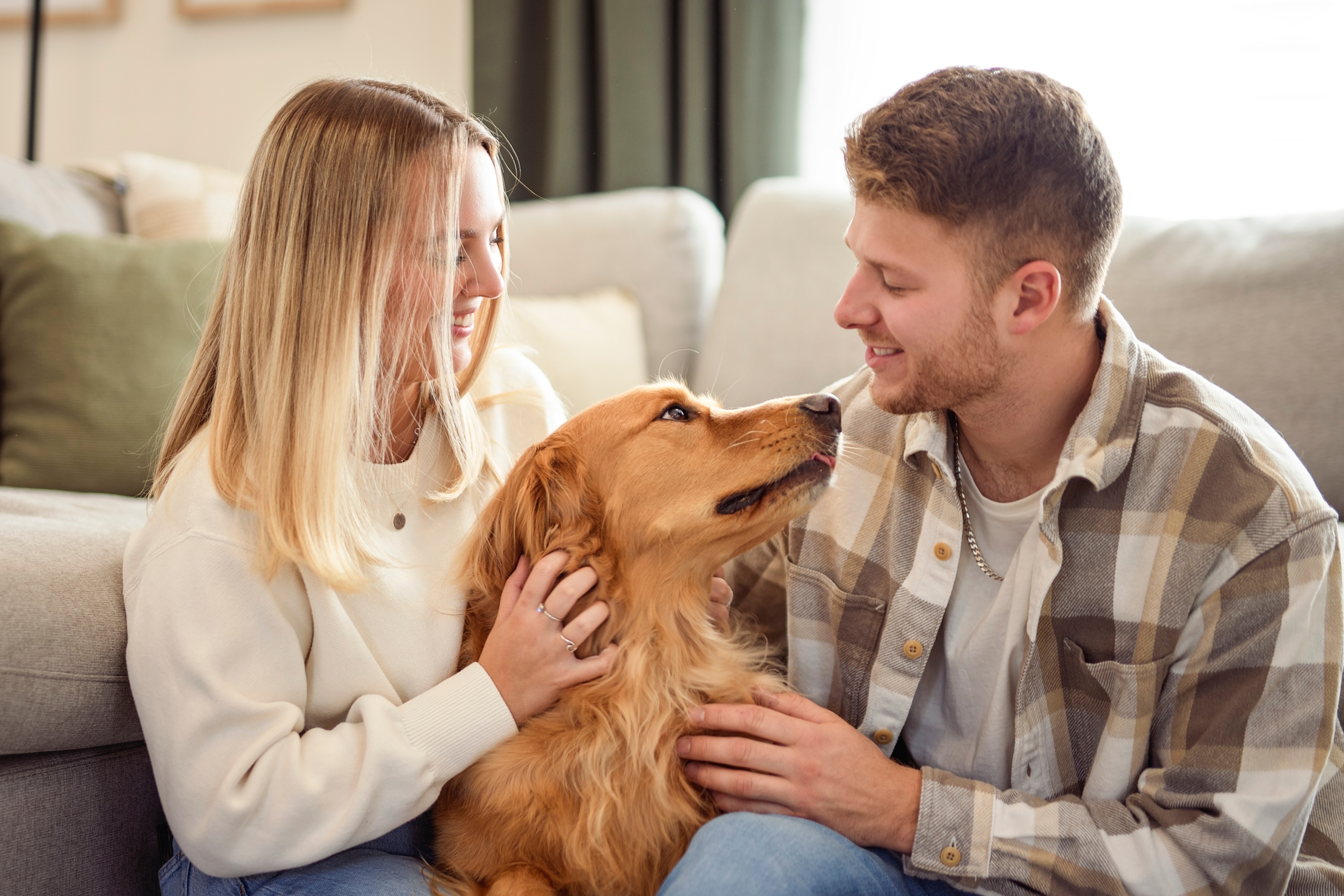 Couple with dog stock photo