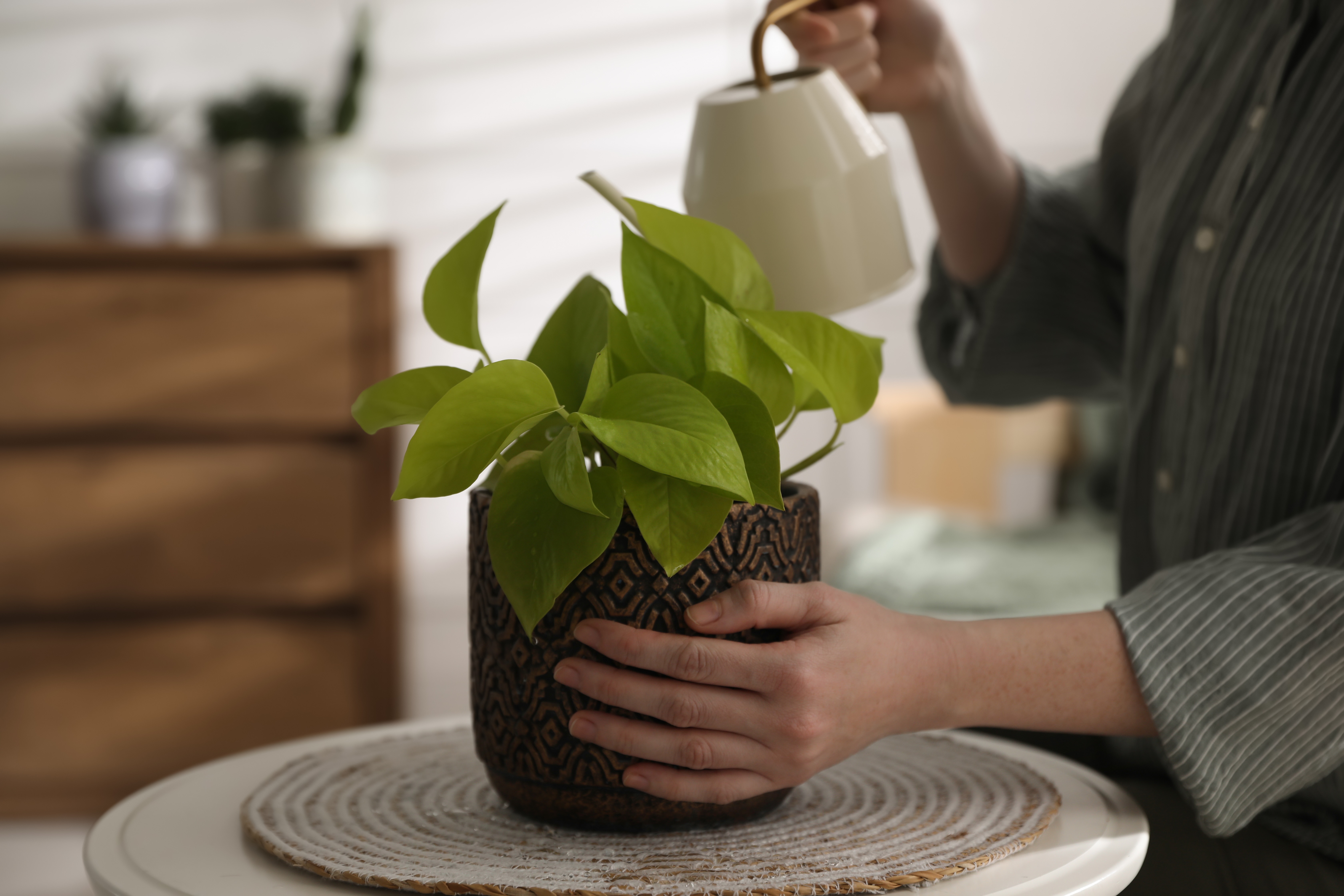 Table decor stock photo