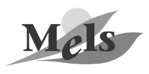 Gemeinde Mels