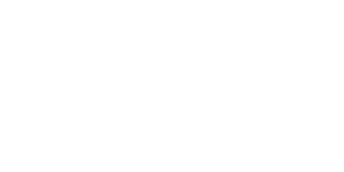 Logikul NetSuite Implementation Story