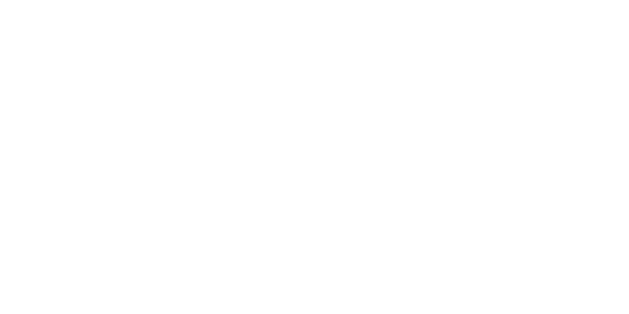 SoftIron NetSuite Implementation Story
