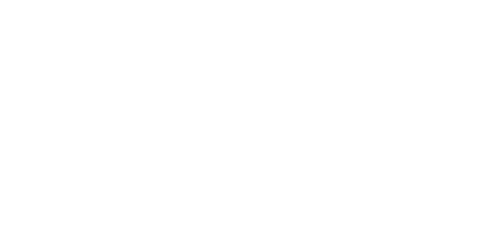 Sabbel Foods NetSuite Implementation Story