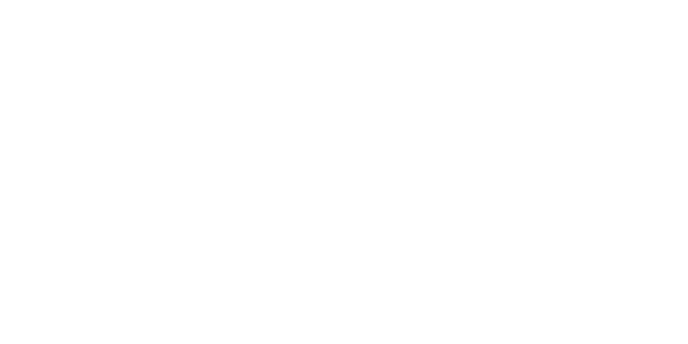 Apex Auto NetSuite Implementation Story