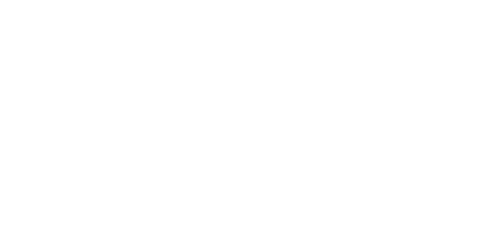 SWIR Vision Systems NetSuite Implementation Story