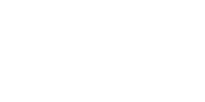 HDMI NetSuite Implementation Story