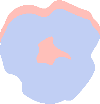 Abstract organic shapes in pink and blue layered with wavy edges on a white background.