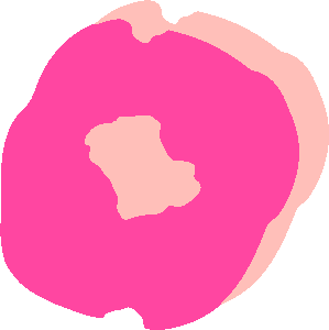 Abstract pink flower with layered petals in two shades of pink.