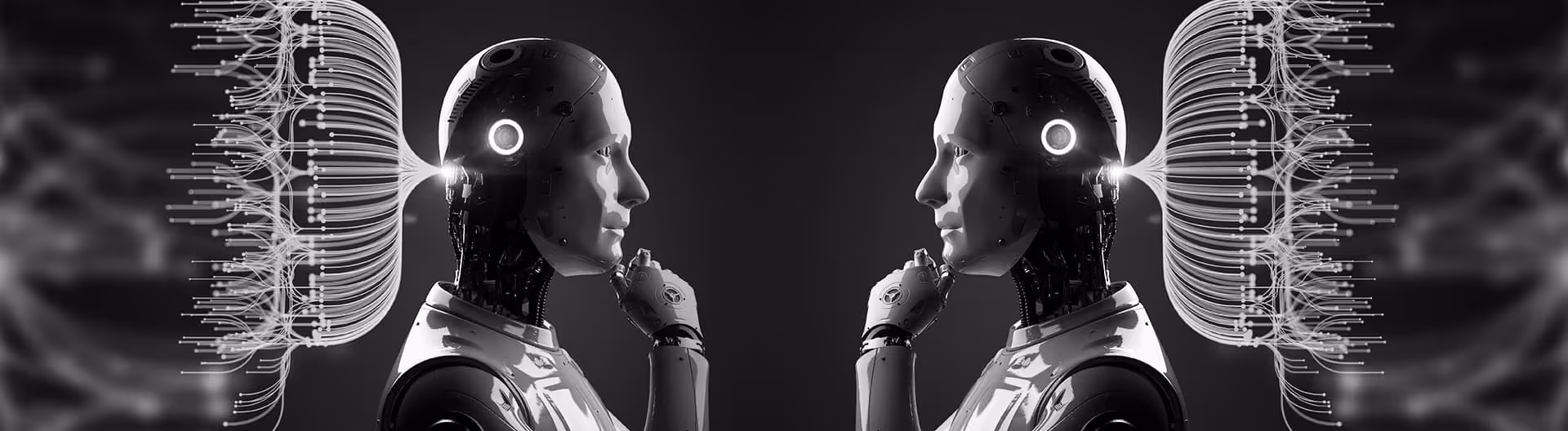 Conversational Shopping and the Future of E-Commerce