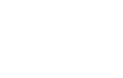 Zissou logo