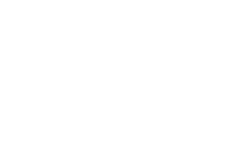 American Flags logo