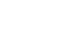Lion Brand Yarn logo