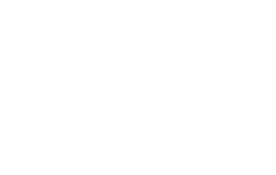 Yaneken logo