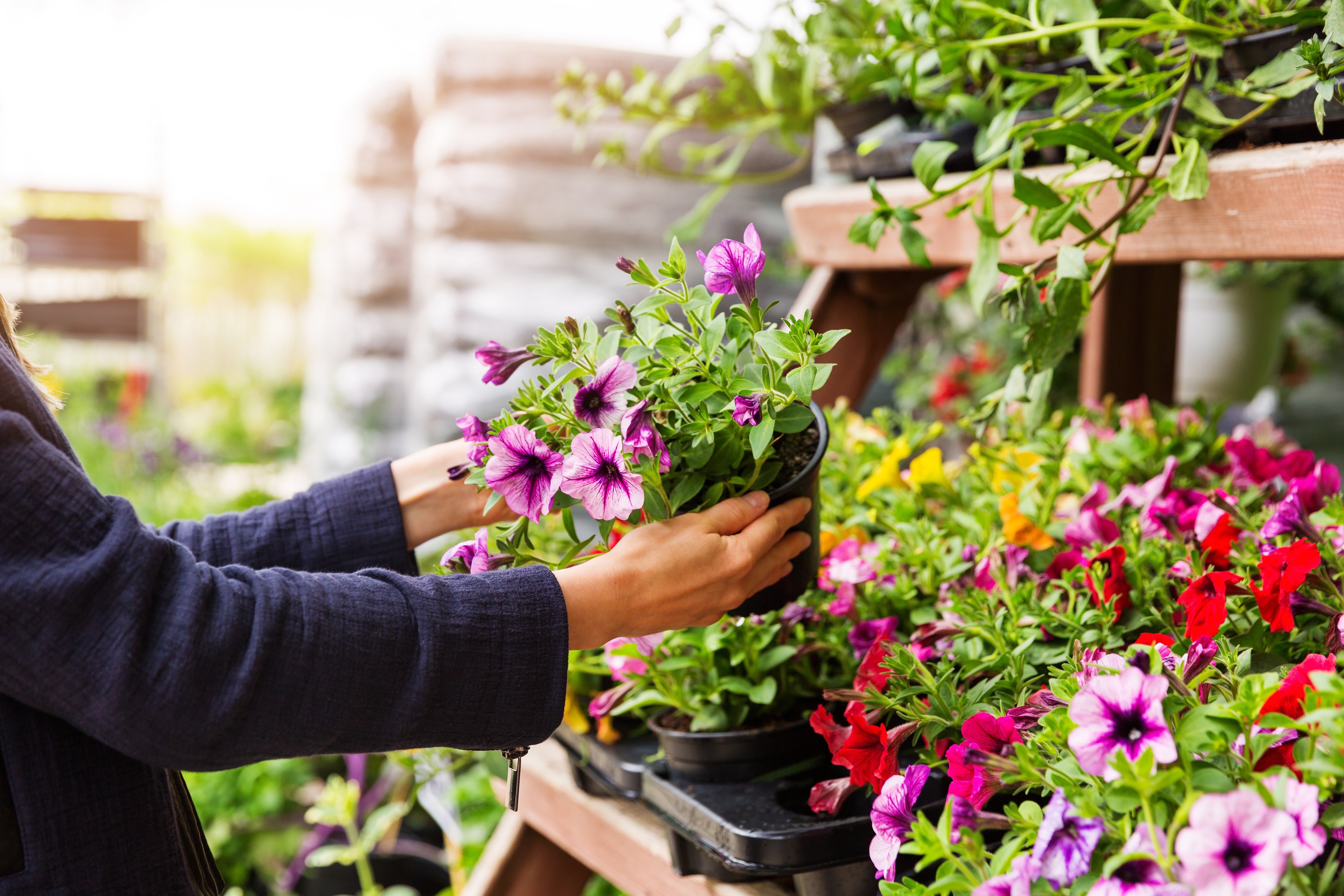 Farmers market stock image