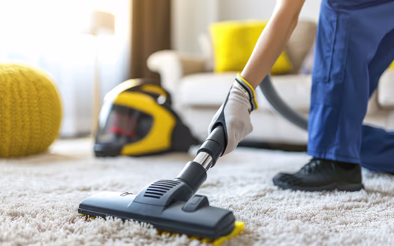Top rated carpet cleaning GTA