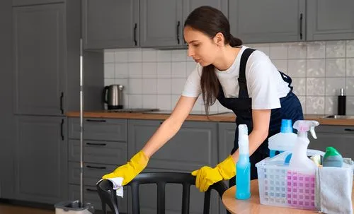 professional cleaning services