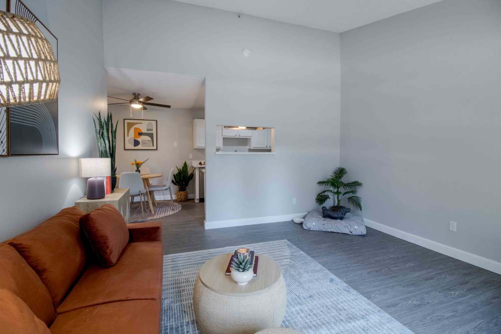 Living area with sofa, rug, plant, and modern wall art