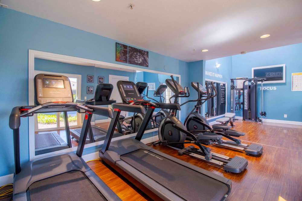 Gym with treadmills