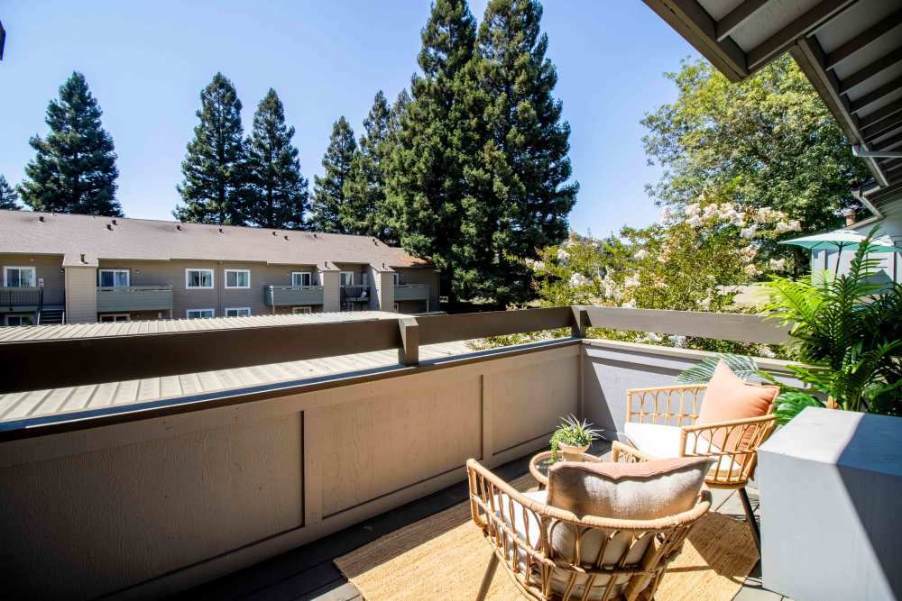 Balcony or Patio