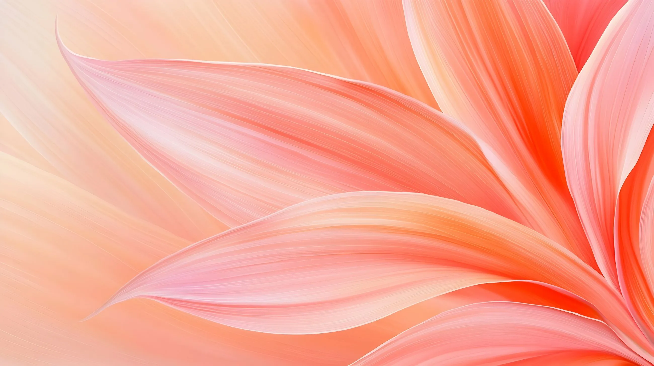 A close up of a flower with a blurry background.
