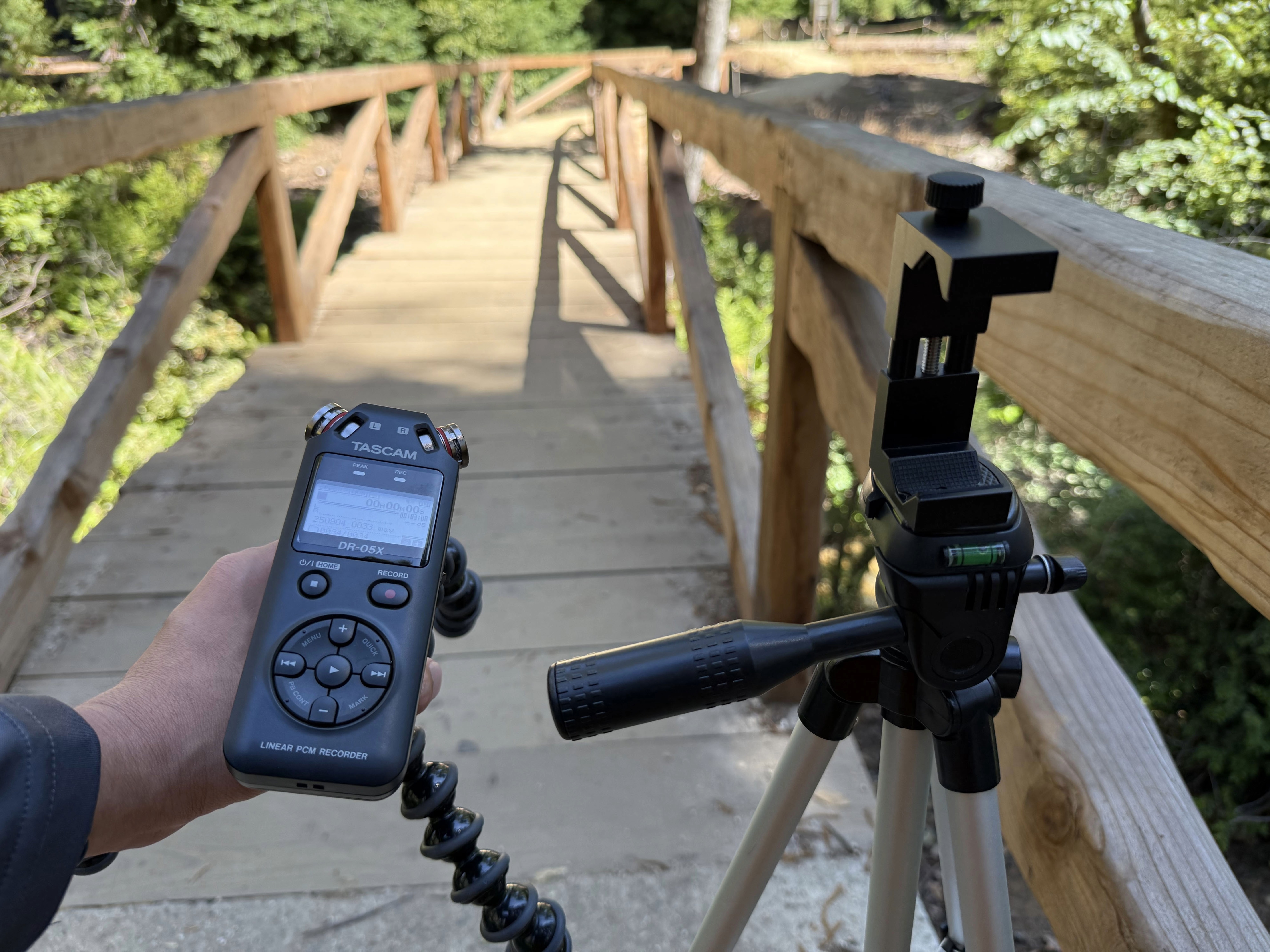 A hand holding a handheld audio recording device with a movable stand next to a tripod with a phone mount in front of a wooden bridge at a state park