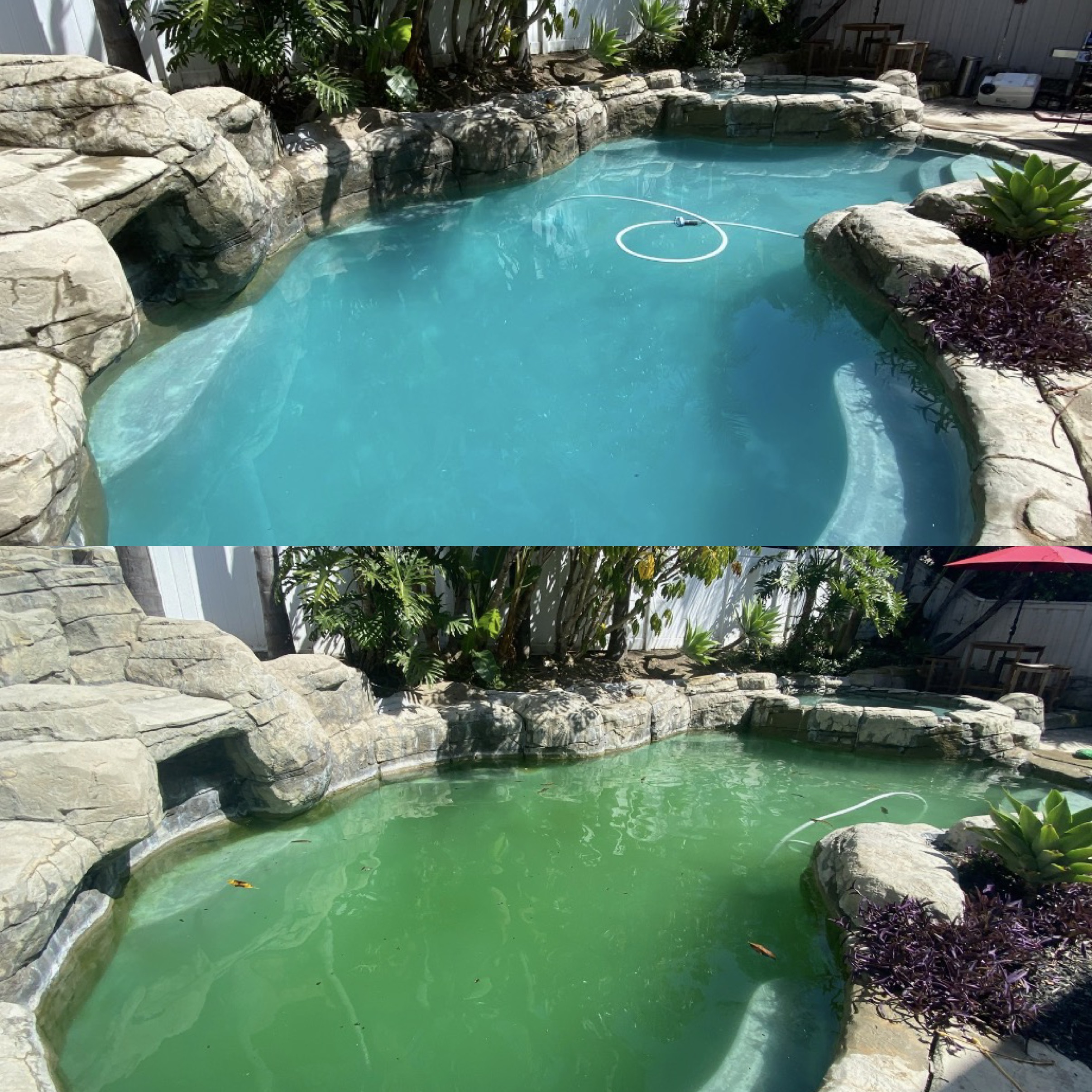 image of a landscaped pool area