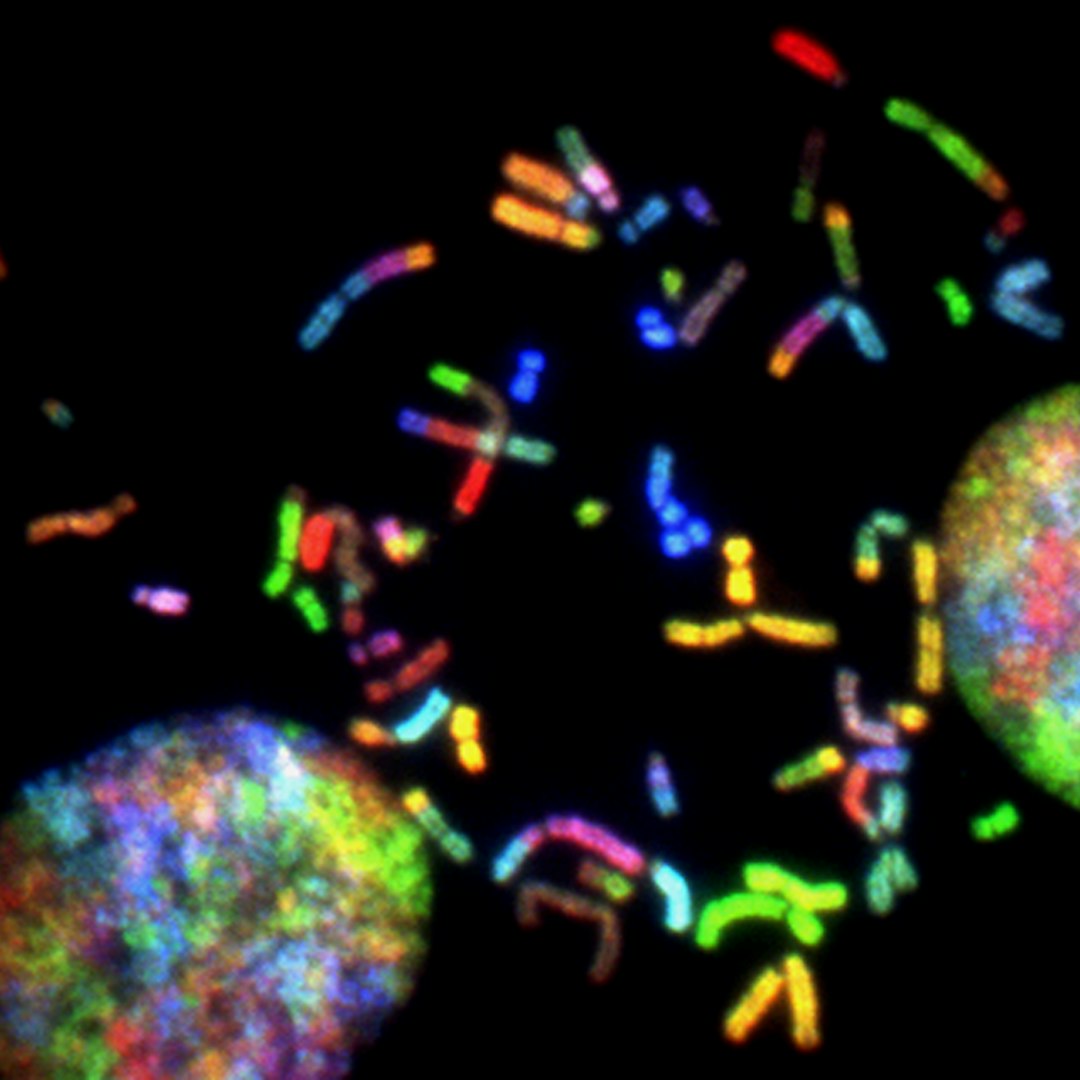 The Next Unlock: Bottlenecks and Breakthroughs in DeepTech for Biology and Chemistry