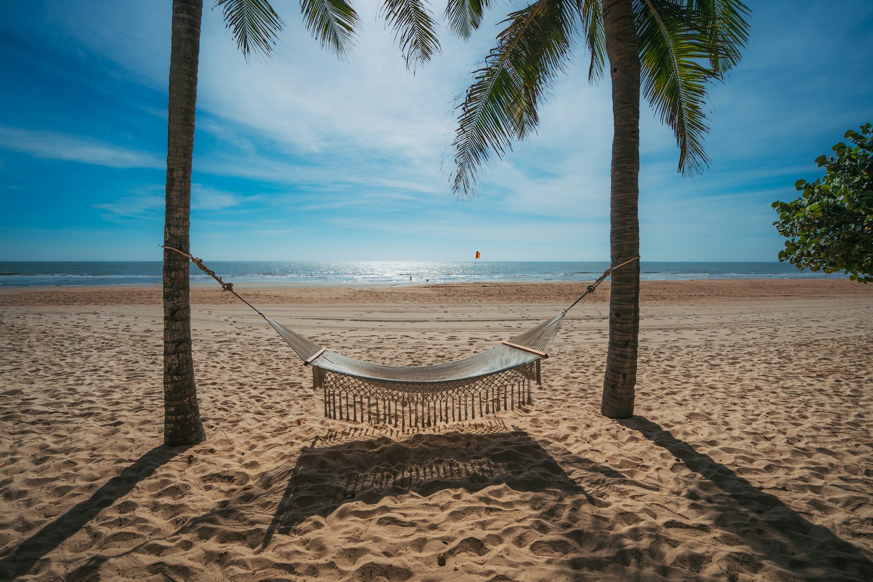 An empty hammock strung between two palm trees on a quiet beach