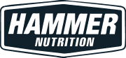 Hammer logo