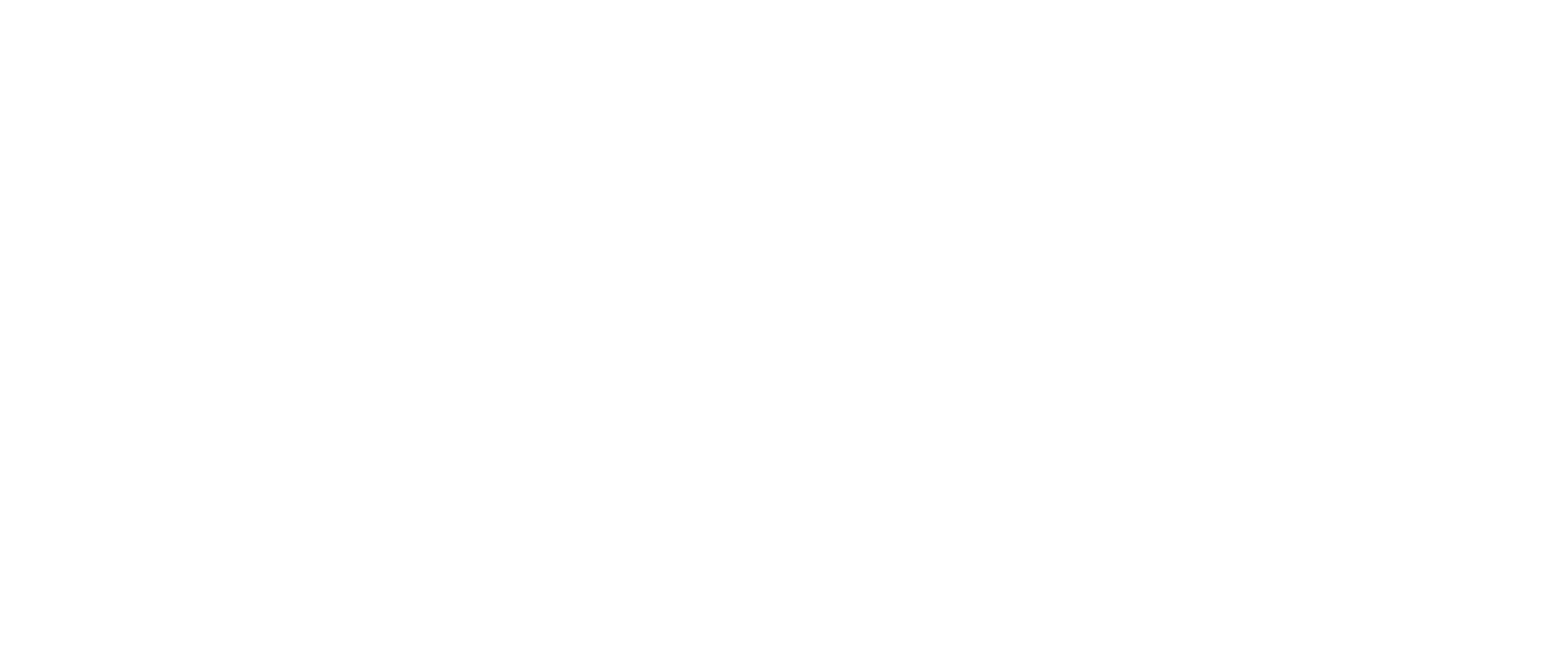 Nota de Subsol logo