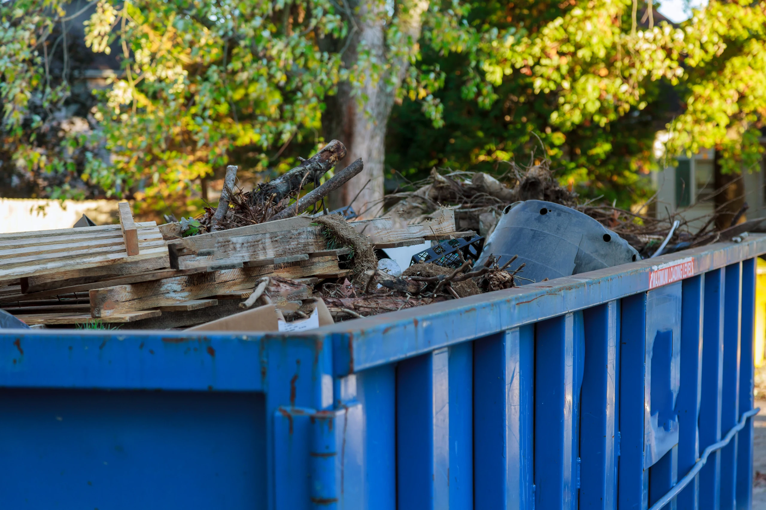 Blue Dumpster 5