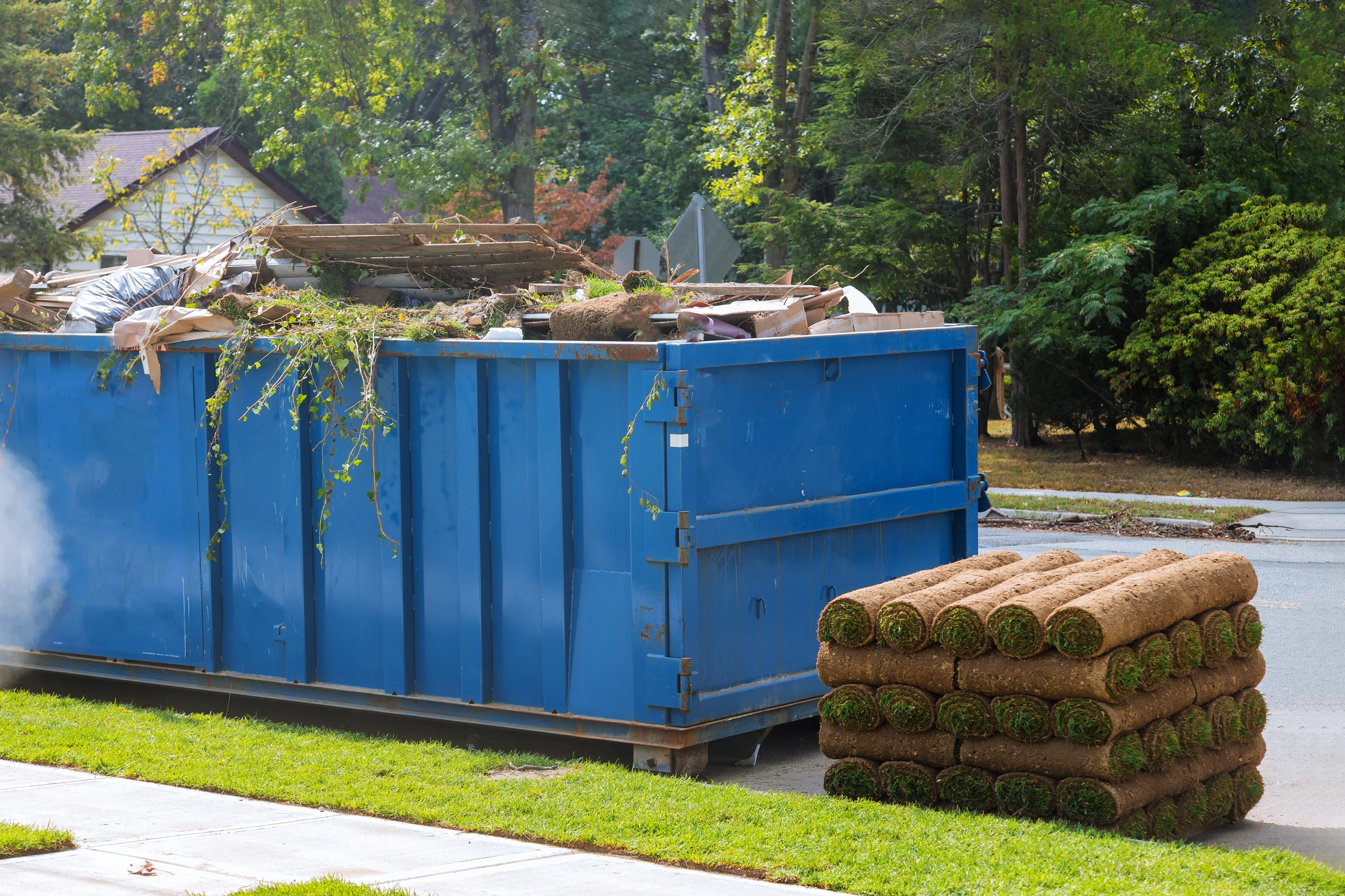 Blue roll-off dumpster filled with yard waste and brush beside stacked sod rolls on a residential lawn