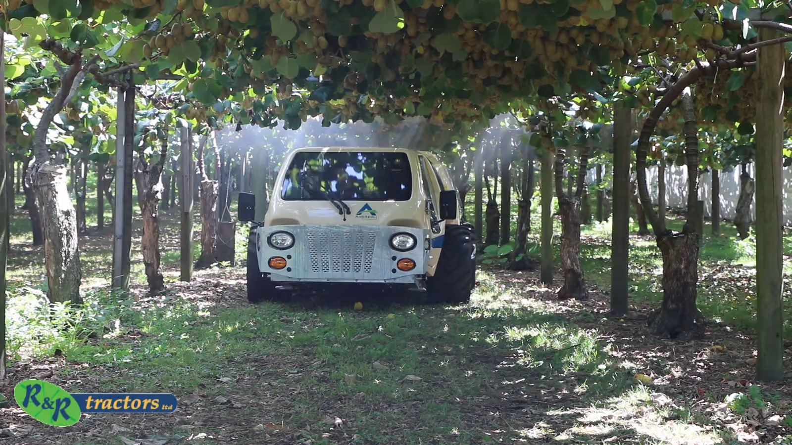 Andreoli Atom 2000 self-propelled orchard sprayer under kiwifruit canopy