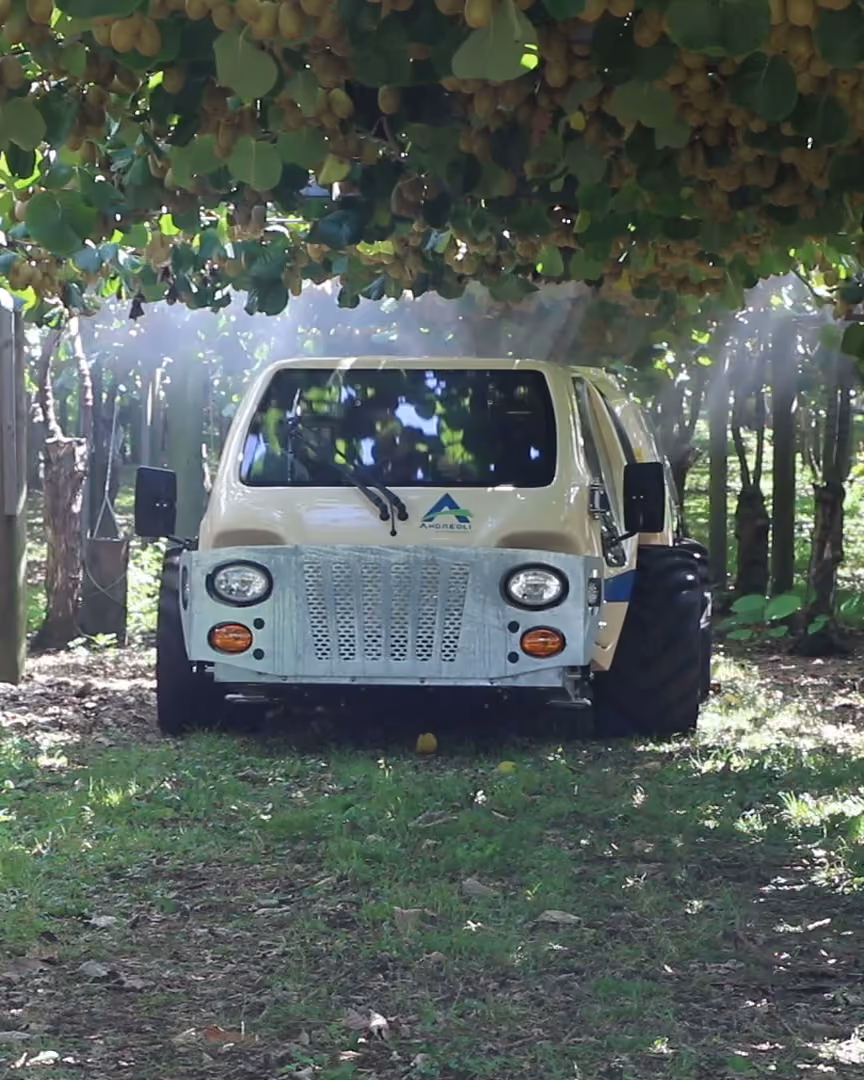 Andreoli Atom 2000 orchard sprayer working head-on down a kiwifruit row, spray visible beneath the canopy.