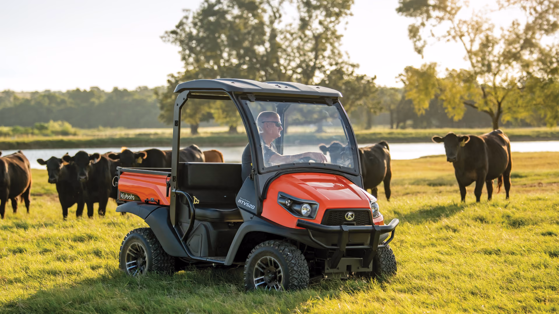 Kubota RTV utility vehicle among cattle at golden hour