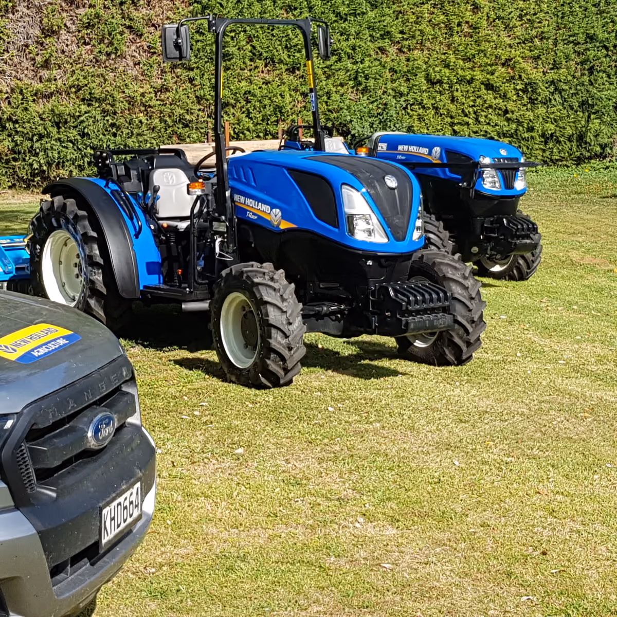 Two New Holland tractors parked on grass beside a shelter hedge