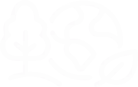 CFM decorative graphic element used in website visual composition