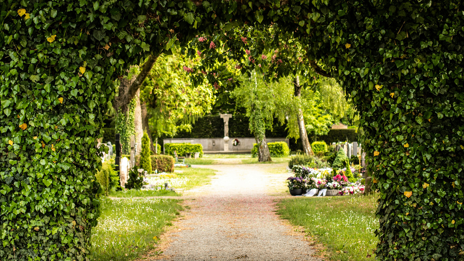 The Day I Went to the Cemetery Looking for Perspective