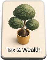 tax-wealth